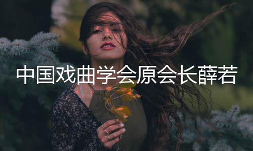 简介若琳若琳中国资料戏曲学会 薛个人原会长薛逝世生平
